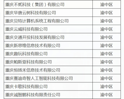 渝中12家企業(yè)入選重慶首批“滿天星”示范企業(yè)，引領(lǐng)軟件開發(fā)新高度